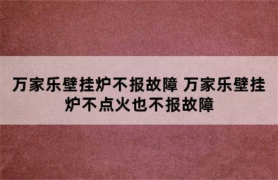 万家乐壁挂炉不报故障 万家乐壁挂炉不点火也不报故障